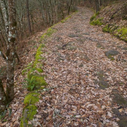 Routes piétonnes