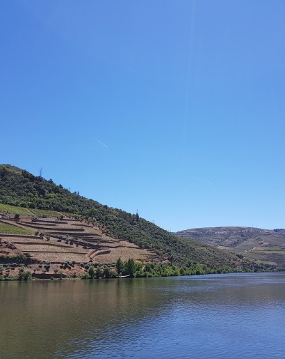Cruzeiros no Douro