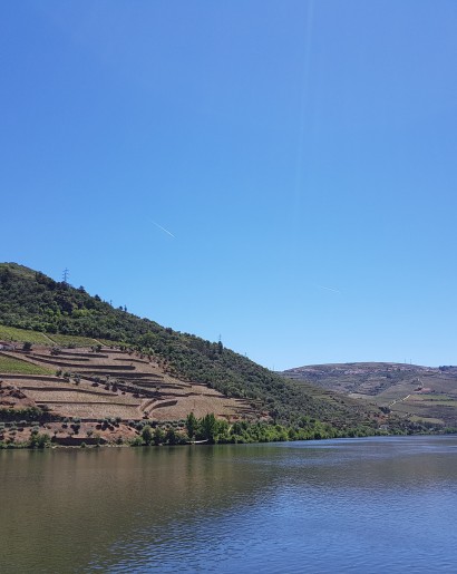 Douro River Cruises